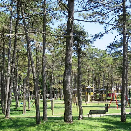 Apartament Parco Hemingway-27 By Interhome *